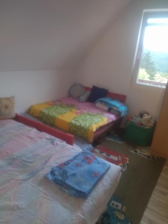 Bor, Savaca - Porodicna Vikendica Za Izdavanje Екстериор снимка