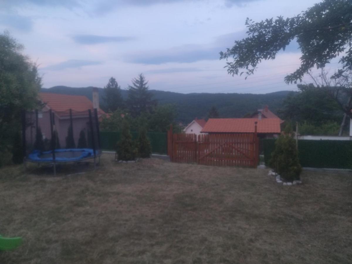 Bor, Savaca - Porodicna Vikendica Za Izdavanje Екстериор снимка